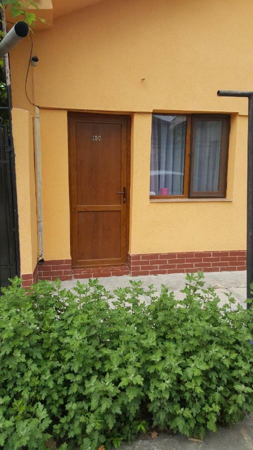 Strada Banu Mihalcea Nr. 150 Villa Constanţa Buitenkant foto